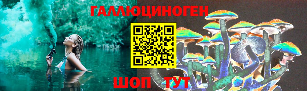 Галлюциногенные грибы Magic Shrooms Камышлов