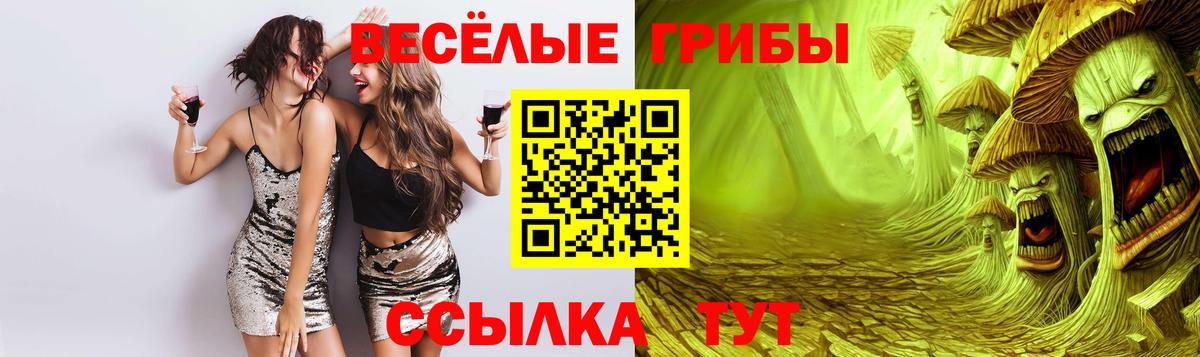 Галлюциногенные грибы MAGIC MUSHROOMS  Вход с VPN  Камышлов 